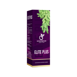ELITE PLUS