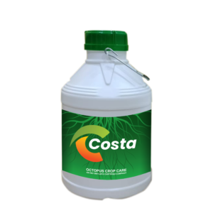 COSTA