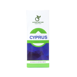 CYPRUS