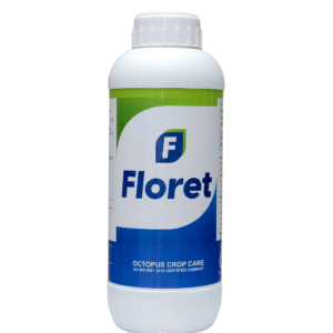 FLORET