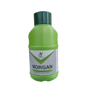 MORGAN