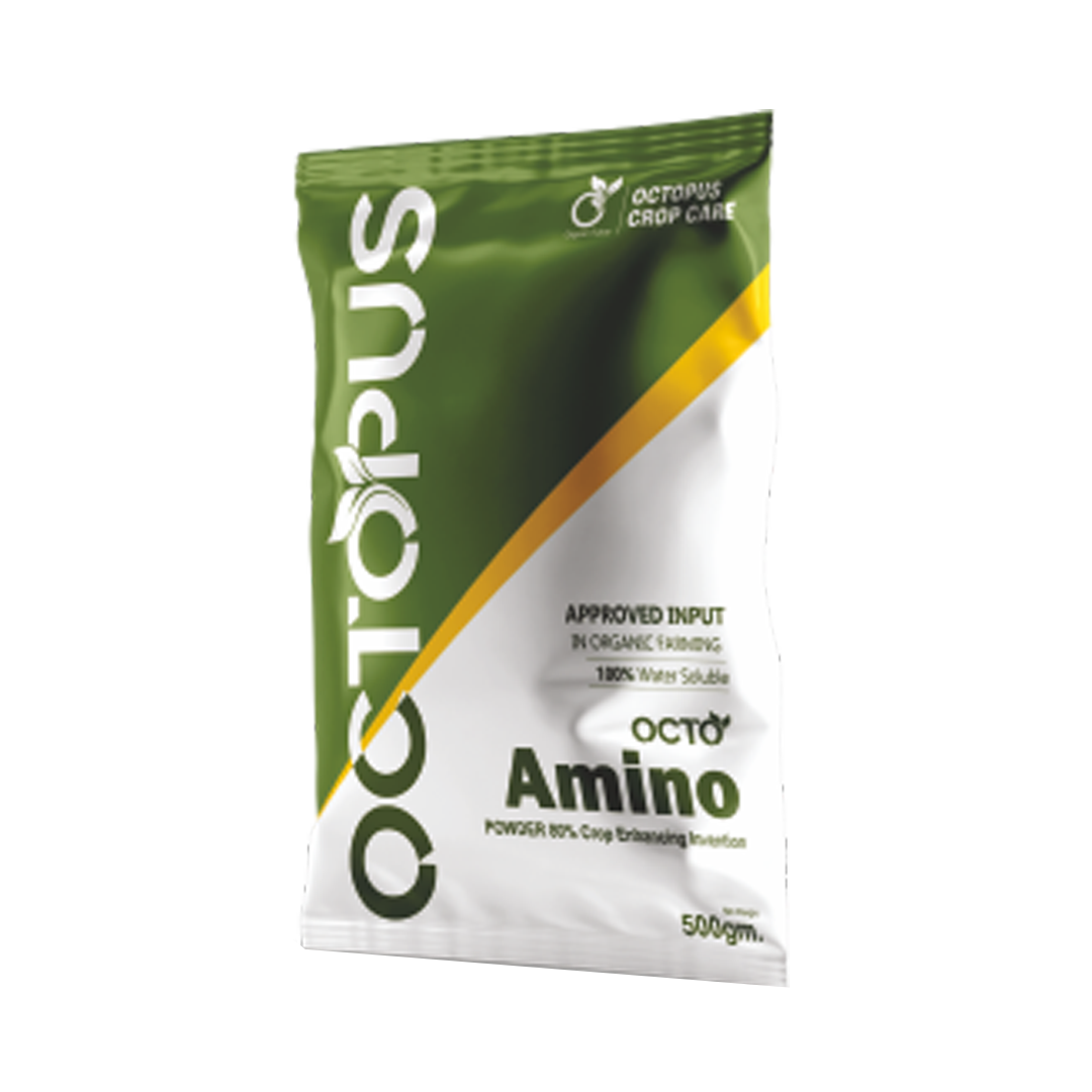 OCTO AMINO