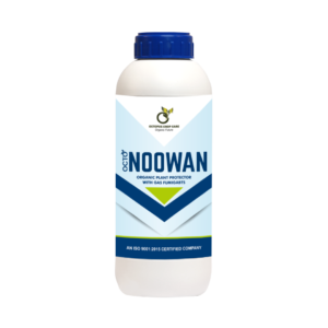 OCTO NOOWAN