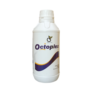 OCTOPLEX