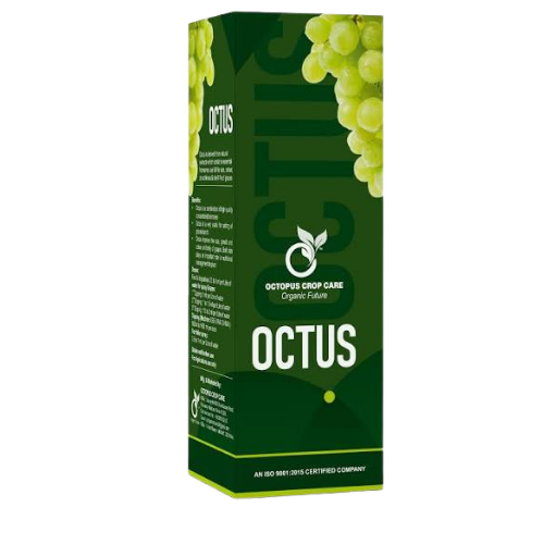 OCTUS