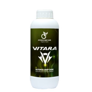 VITARA