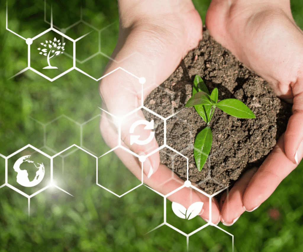biostimulant q
