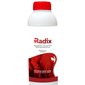 Radix