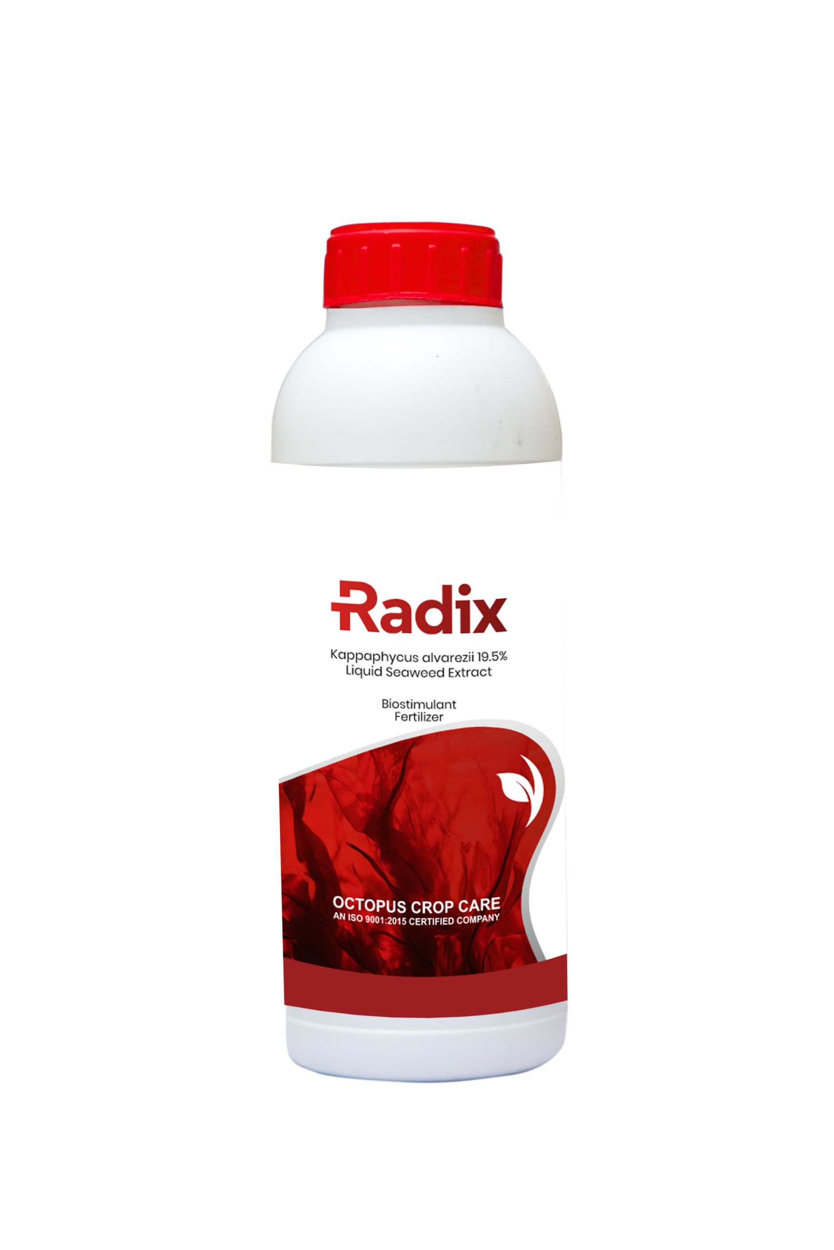 Radix